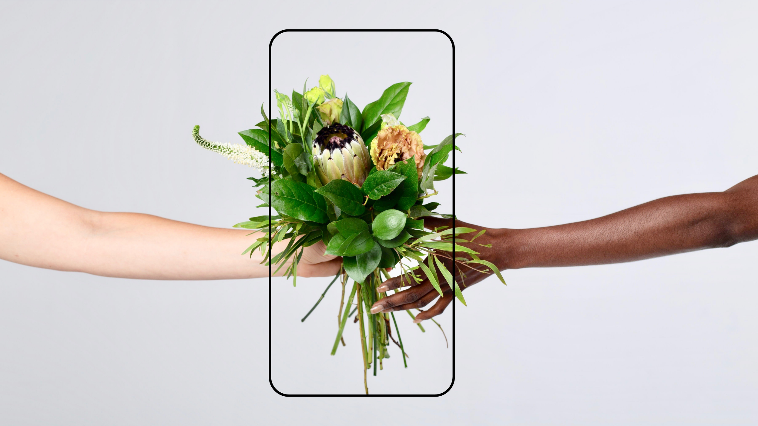 Two arms of different skin tones passing a green bouquet framed inside a drawn phone outline on gray